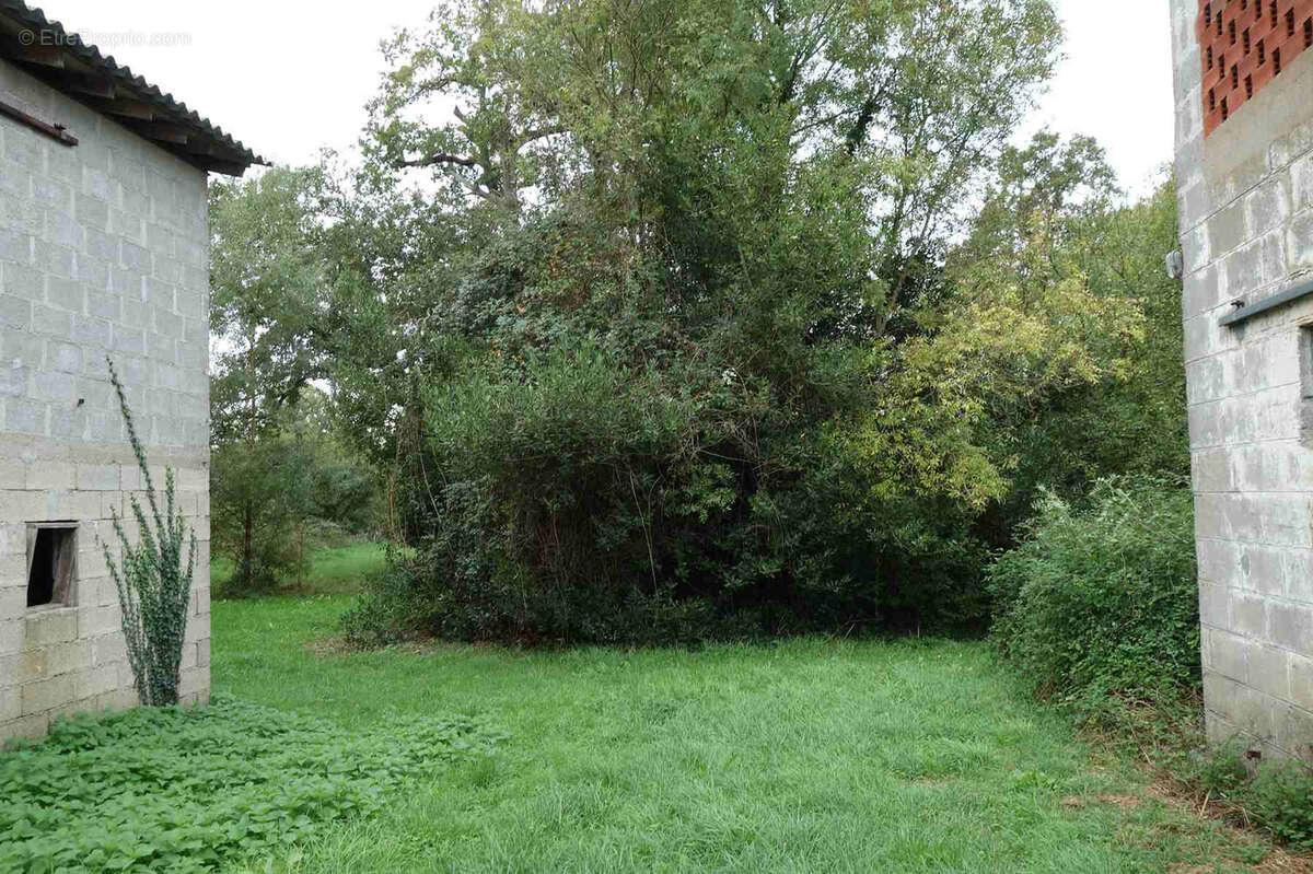 Ferme à rénover au calme dans un hameau - photo 9