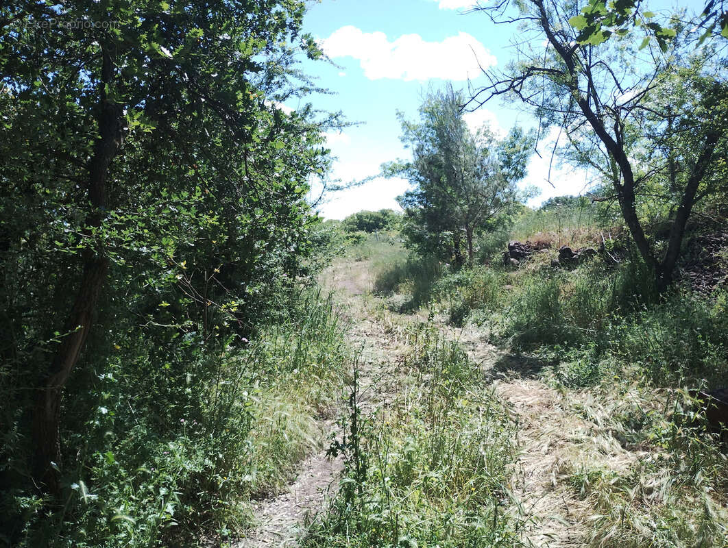Vends terrain agricole et de loisirs 15 929 m2 - 34800 La Coste - photo 8
