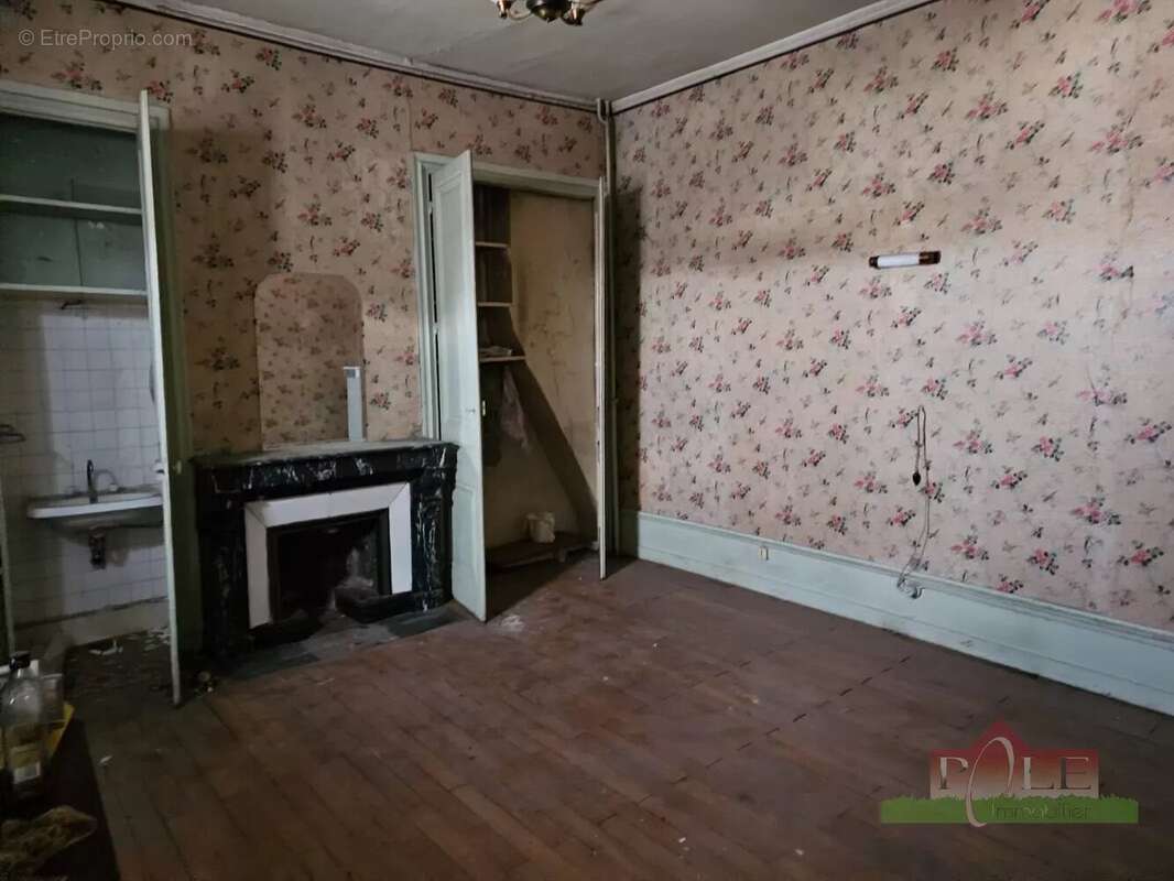 VIENNE, Immeuble Bourgeois de 360m² avec terrain de 830m² - photo 6