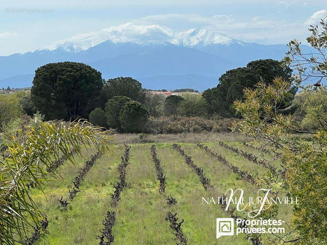 Maison à LAROQUE-DES-ALBERES