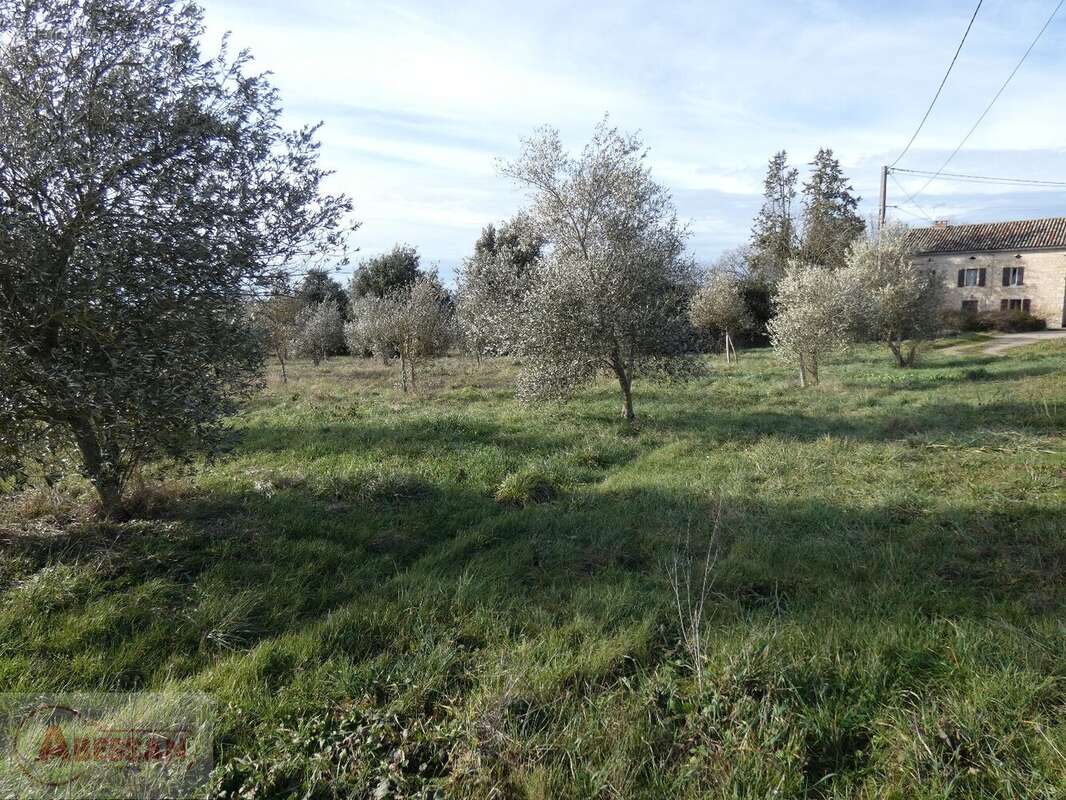 Maison à CORDES-SUR-CIEL