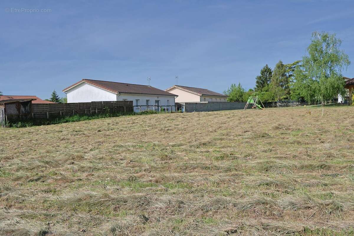 Terrain 1037 m² à Chevroux  - photo 6
