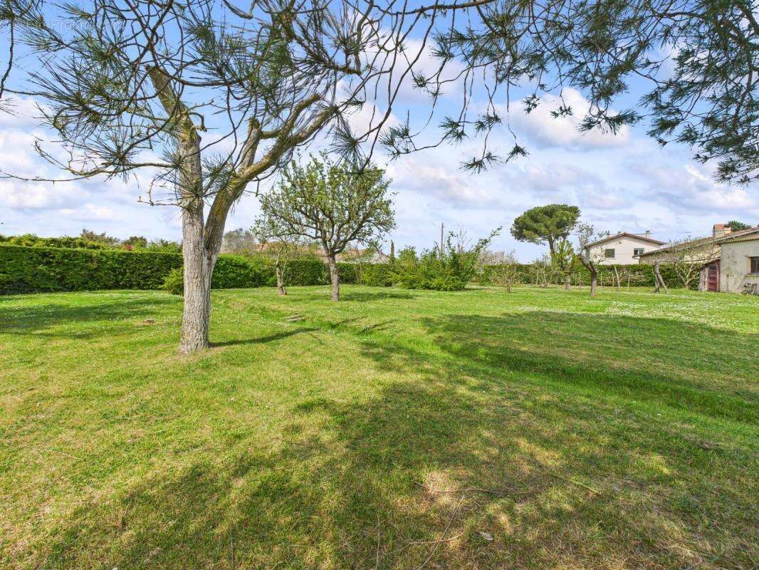 Terrain à PLAISANCE-DU-TOUCH