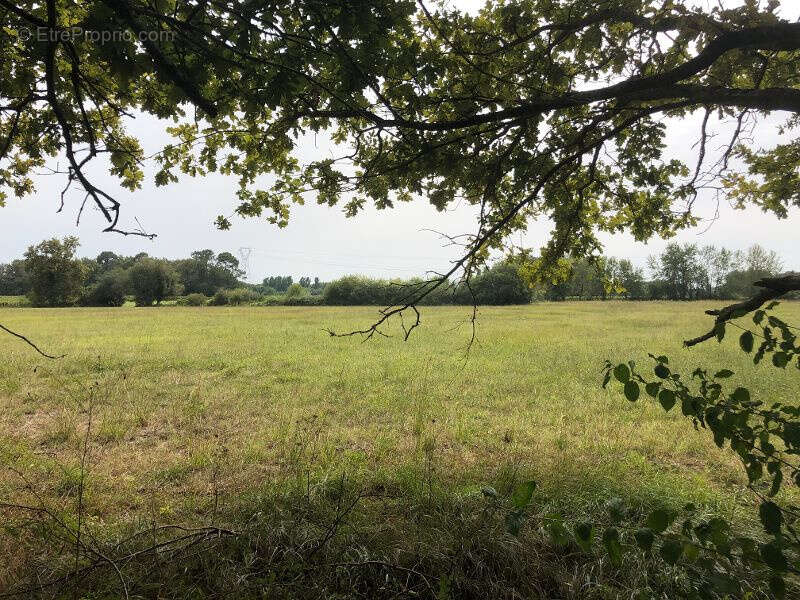 Maison à SAINT-ANDRE-DE-CUBZAC