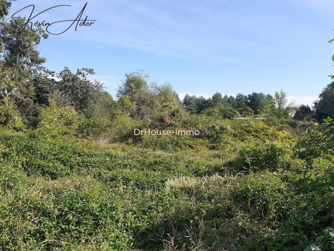 Terrain à OLIVET
