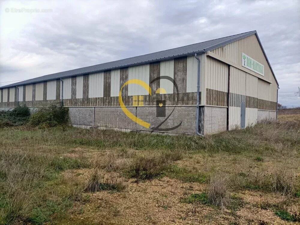 Appartement à BERRY-BOUY