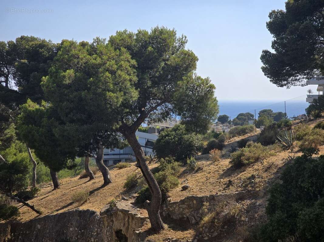 Appartement à MARSEILLE-8E