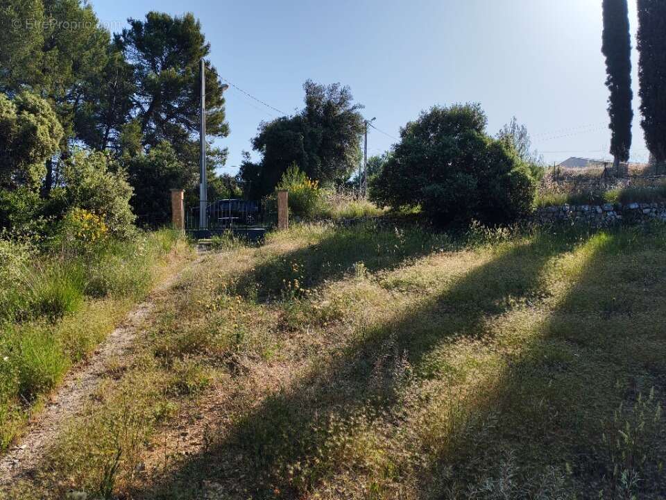 Terrain à LORGUES