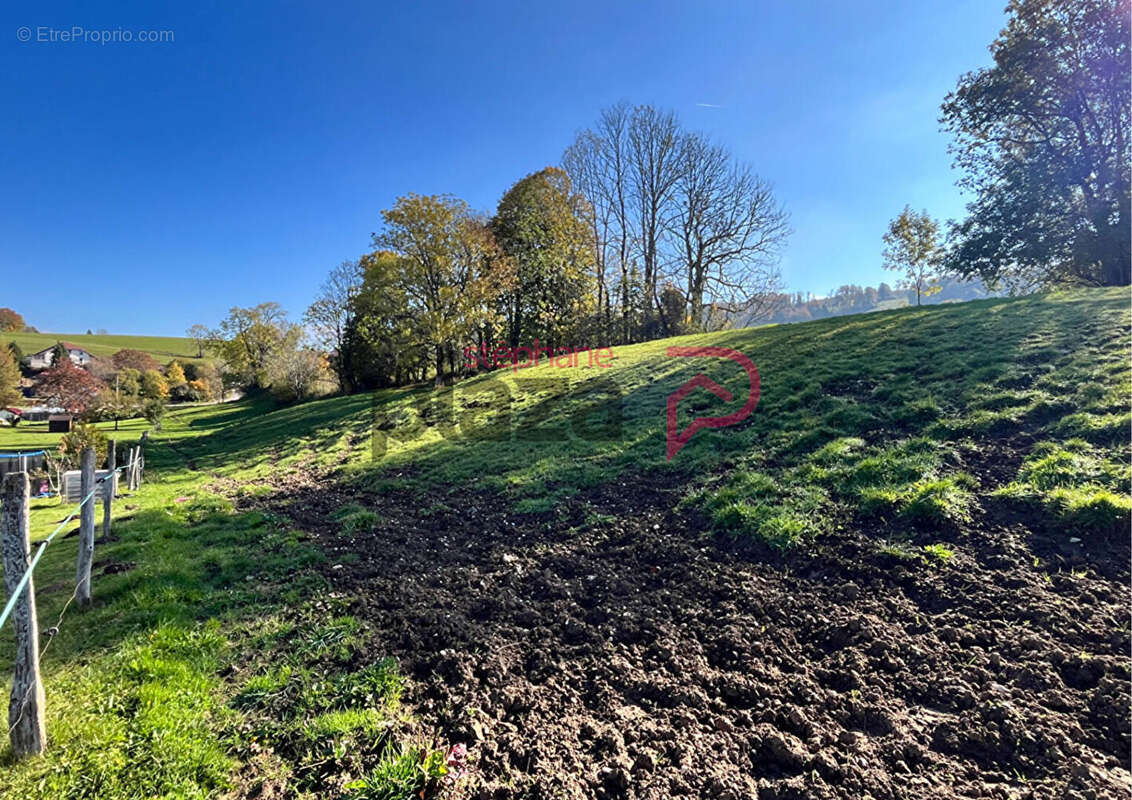 Terrain à MOLAY