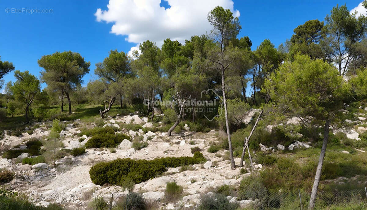 Maison à ENSUES-LA-REDONNE
