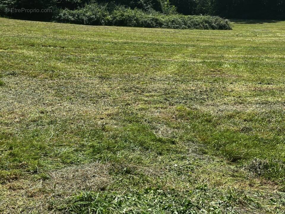 Terrain à CORME-ROYAL