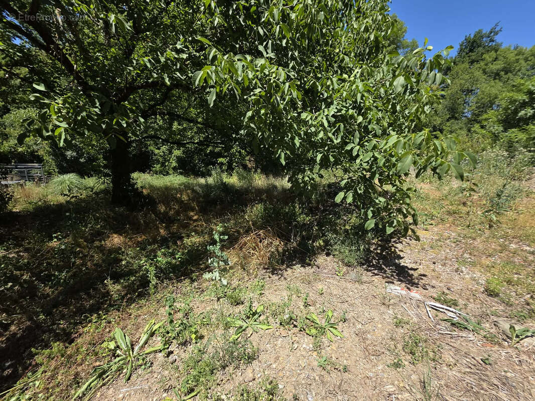 Ensemble immobilier à fort potentiel _ Idéal famille ou investisseur - photo 7