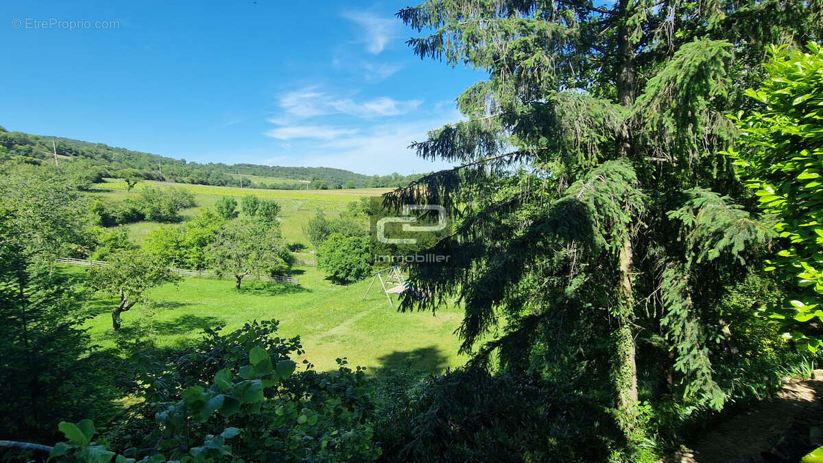 Maison à POLEYMIEUX-AU-MONT-D'OR
