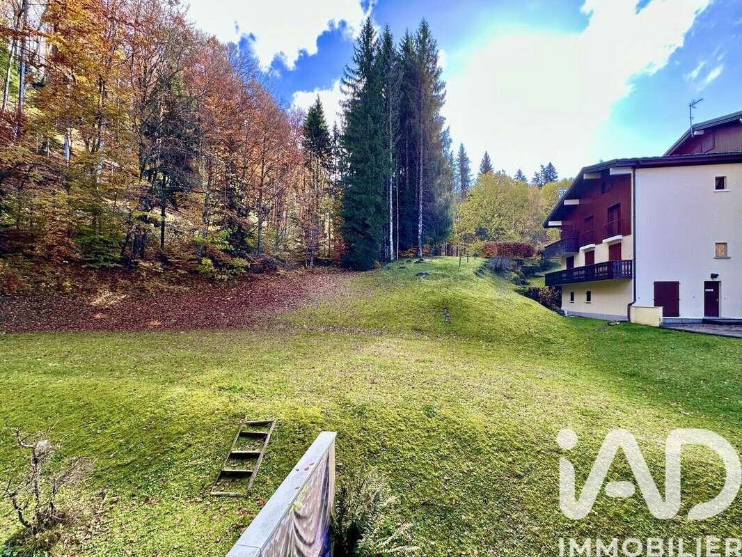 Photo 9 - Appartement à ARACHES-LA-FRASSE