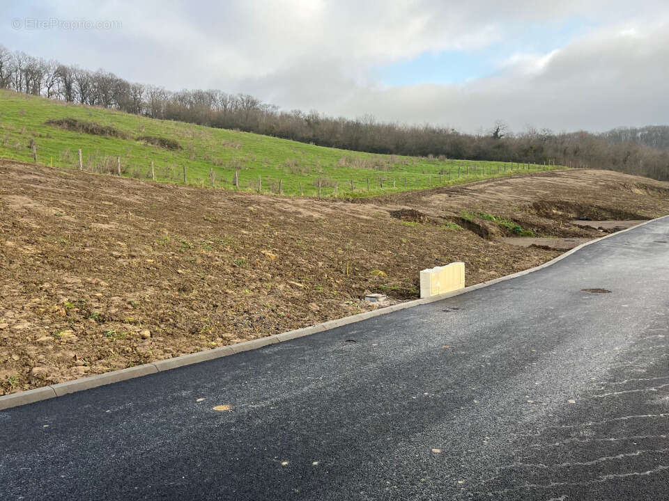 Terrain à THIONVILLE