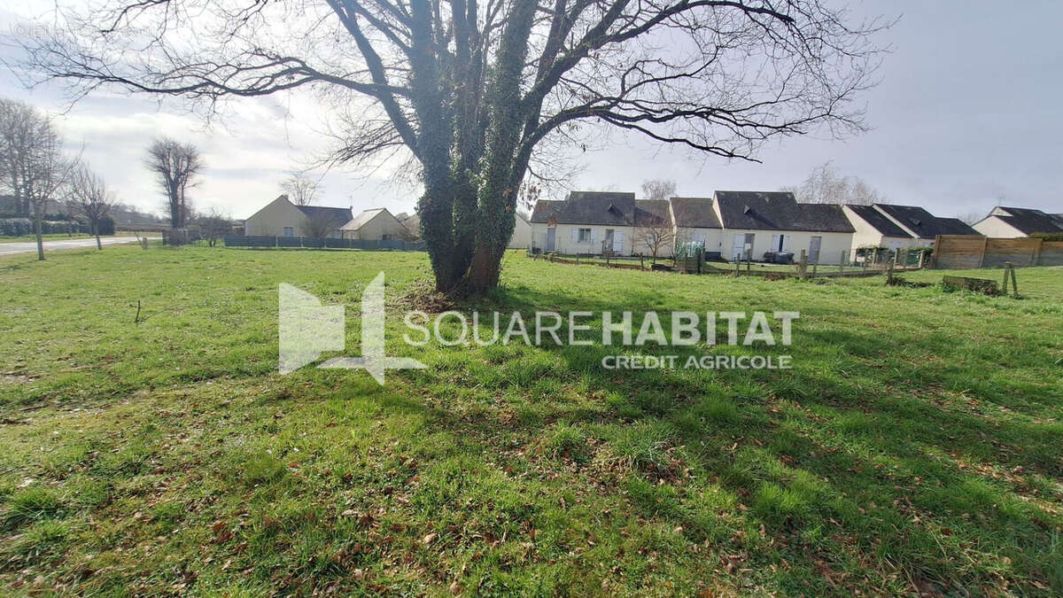 Terrain à RICHELIEU