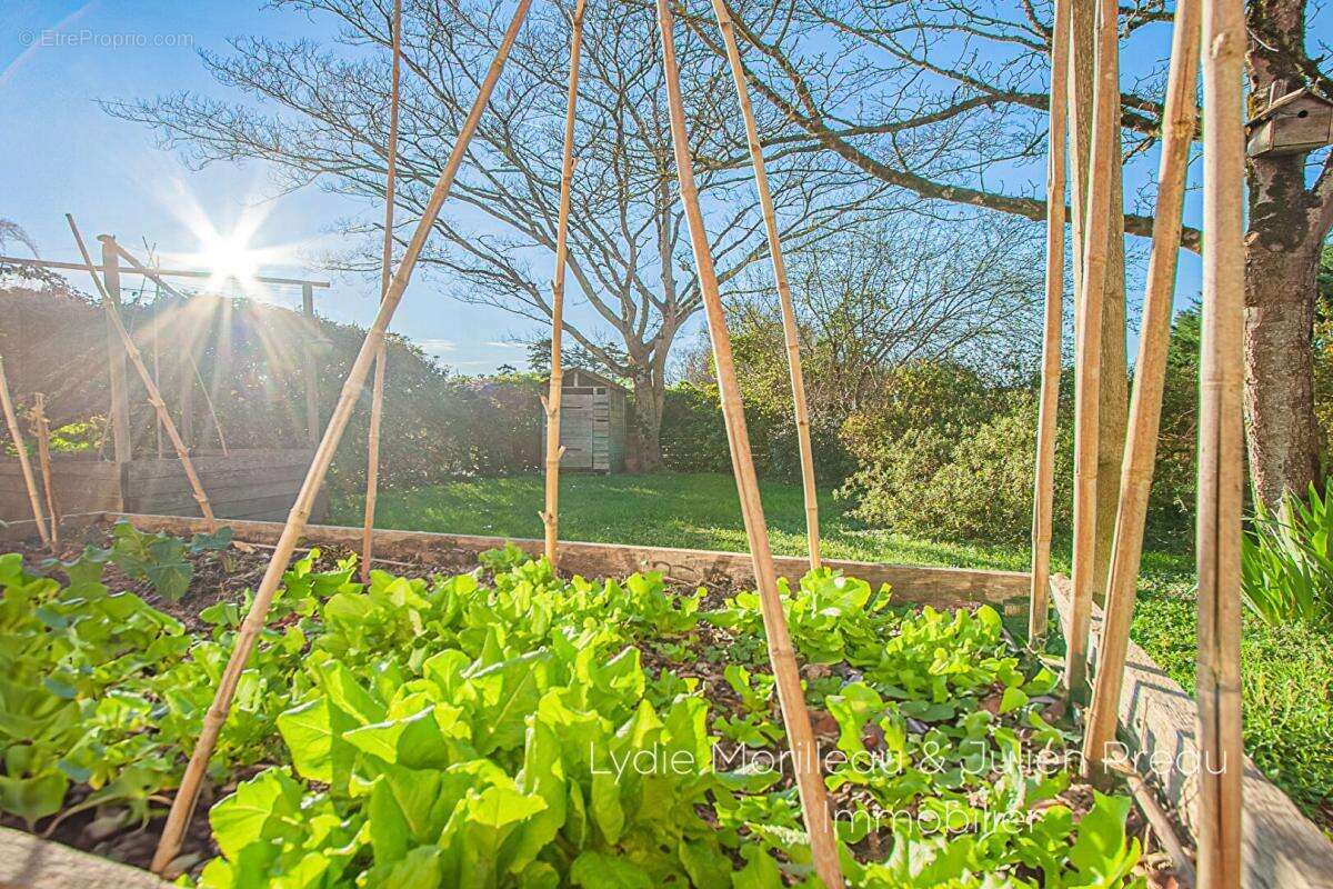 Maison à SAINT-SEBASTIEN-SUR-LOIRE