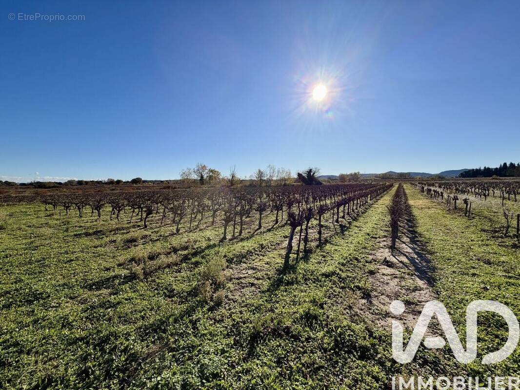 Photo 1 - Terrain à LAUDUN-L&#039;ARDOISE