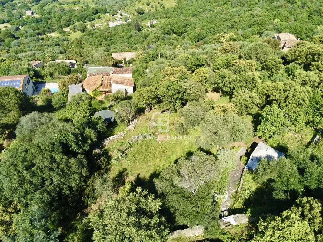 Terrain à MONTICELLO