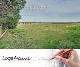 Terrain à MONTREUIL-SUR-LOIR