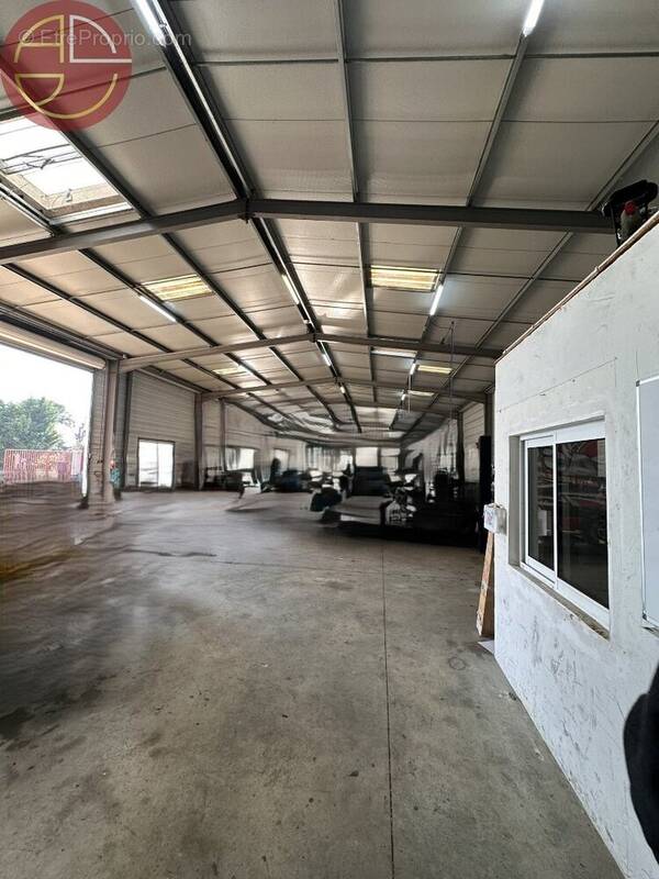 Commerce à TOULOUSE