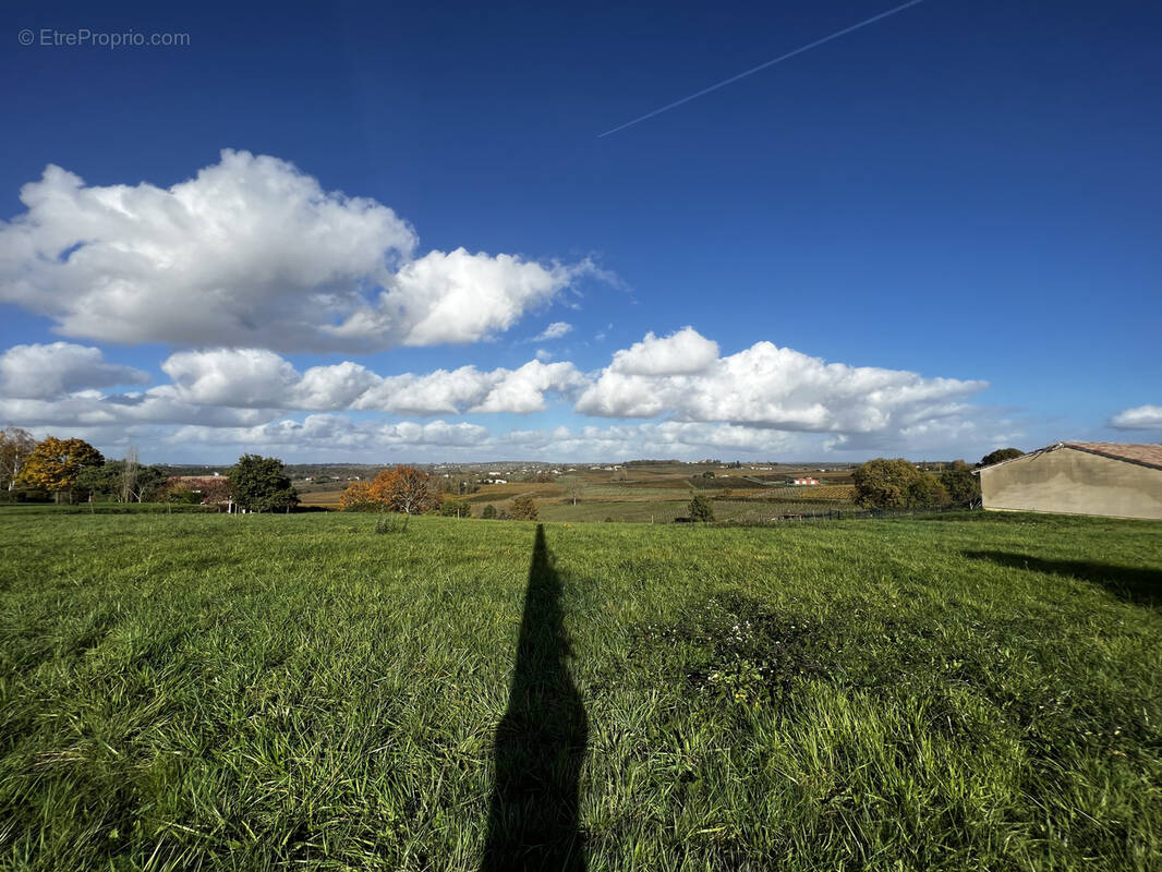 Terrain à SAINT-ANDRE-DU-BOIS