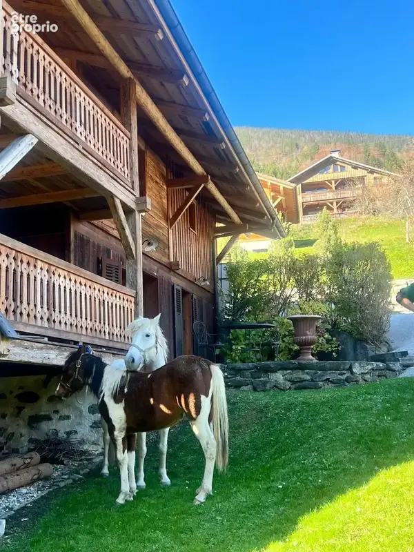 Maison 8 pièces 279 m² à vendre à La Clusaz (74220) - photo 5
