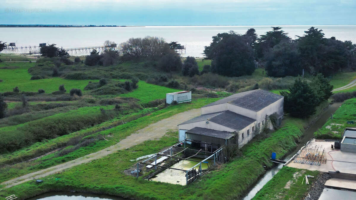 Autre à LES MOUTIERS-EN-RETZ