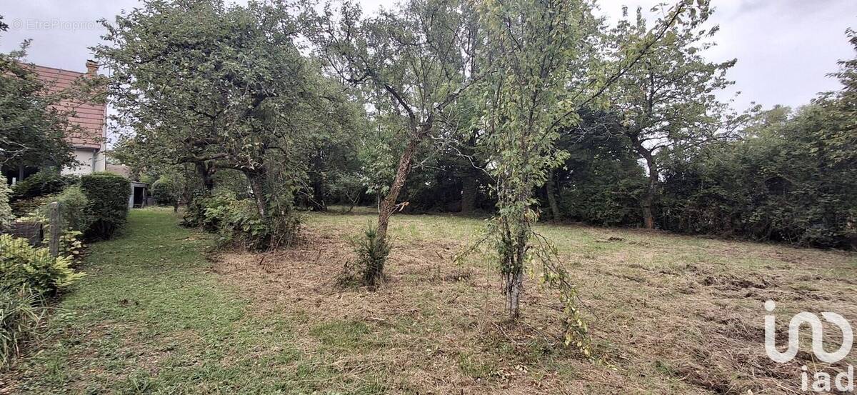 Photo 1 - Terrain à LES AIX-D'ANGILLON