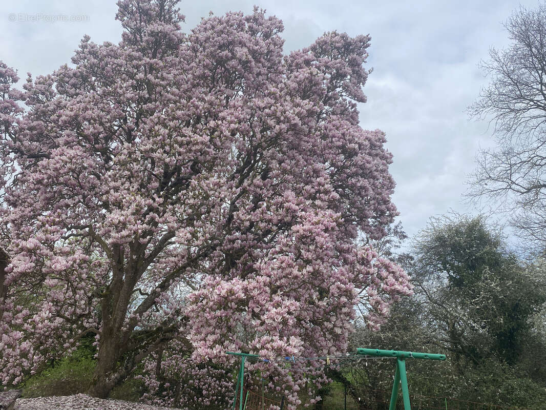 Maison à SAINT-JEAN-D'ASSE