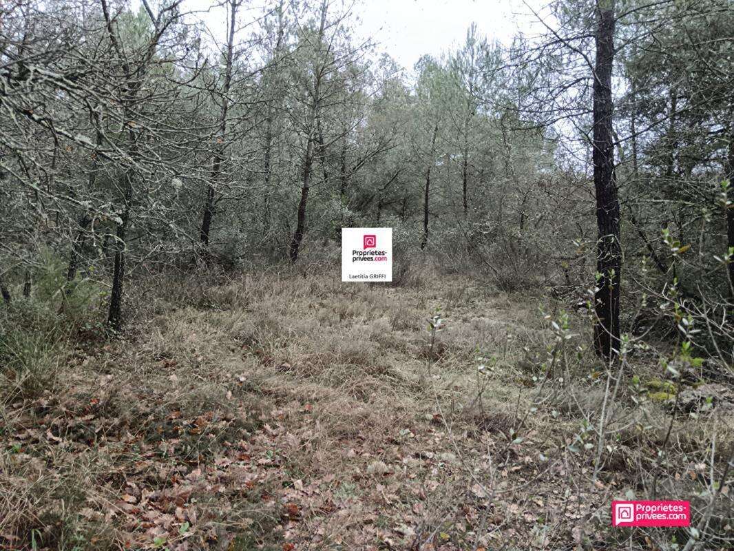 Terrain à SAINT-PAUL-EN-FORET