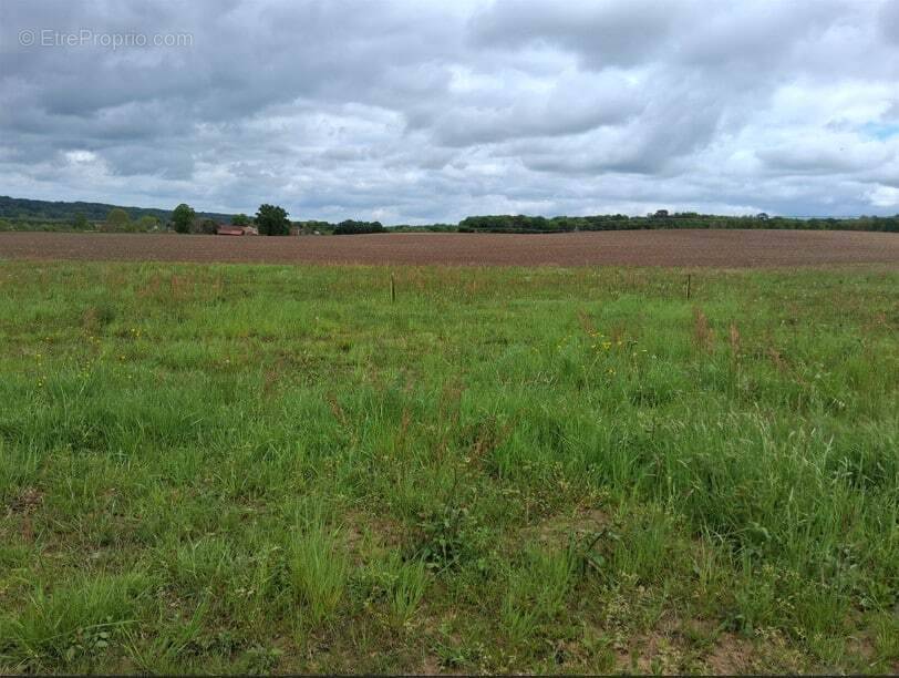 Terrain à SAINT-AGNE