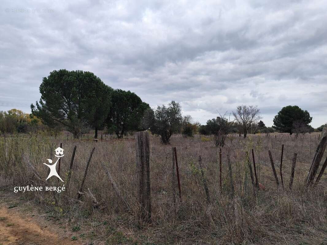 Terrain à AIMARGUES