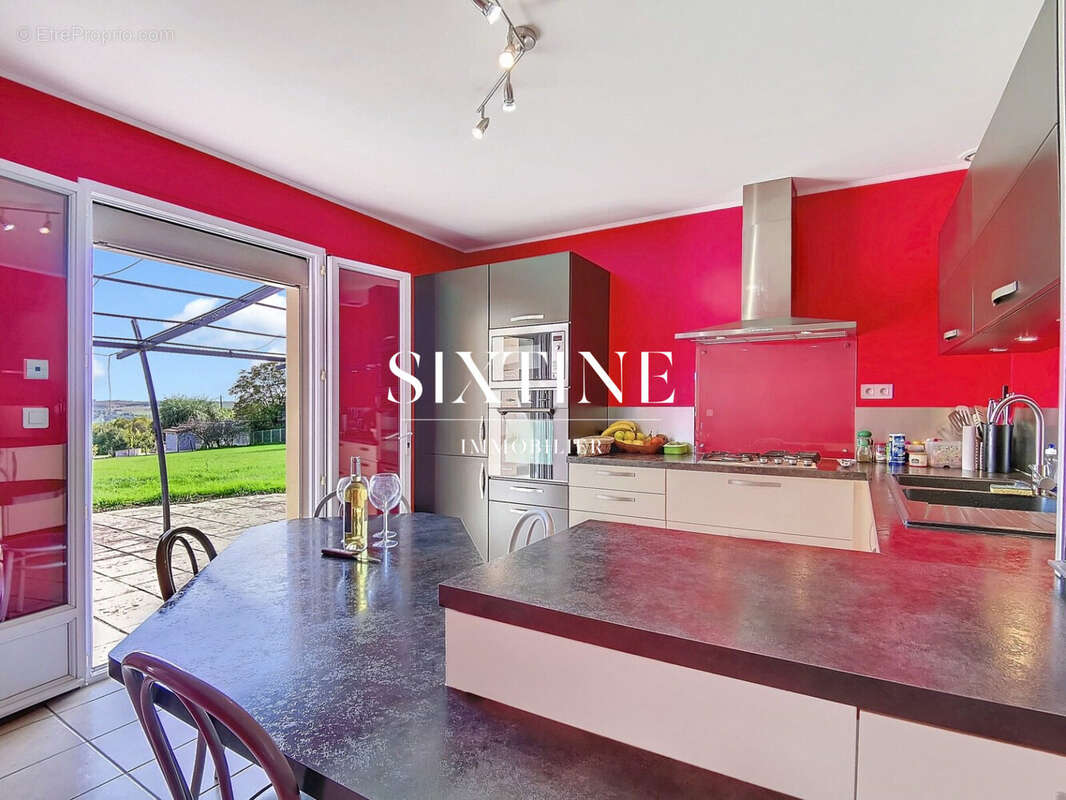 Maison 271 m² à La Chapelle-De-Surieu  - photo 6