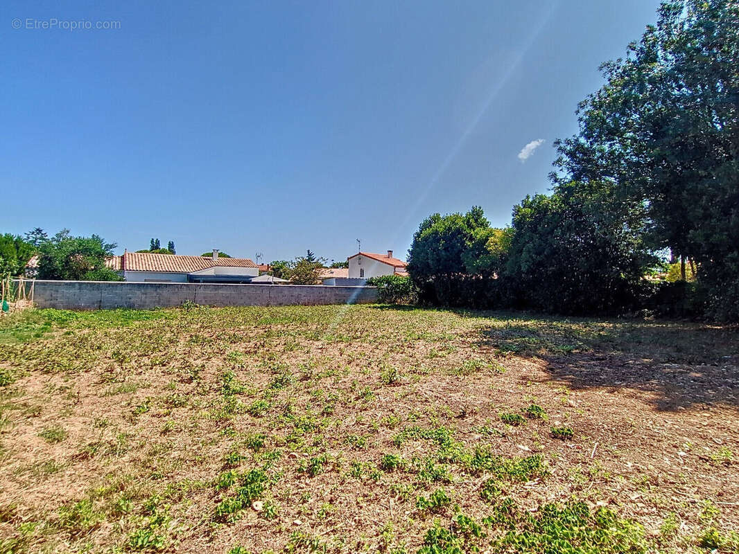 Terrain à DOMPIERRE-SUR-MER