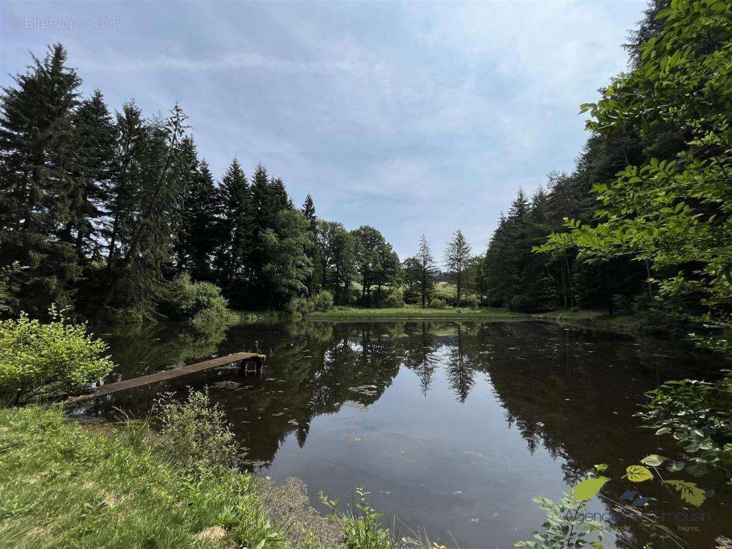 Maison à MOISSANNES