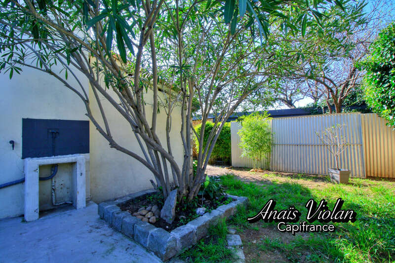 Maison à SAINT-MATHIEU-DE-TREVIERS
