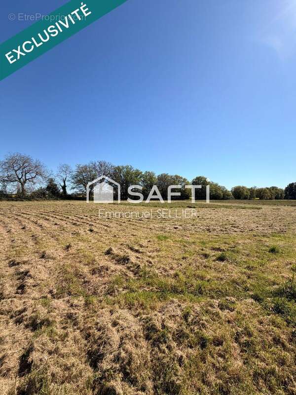 Photo 3 - Terrain à NEUVY-PAILLOUX