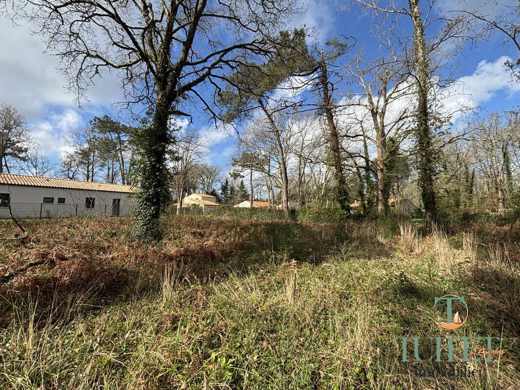 Terrain à LA TREMBLADE