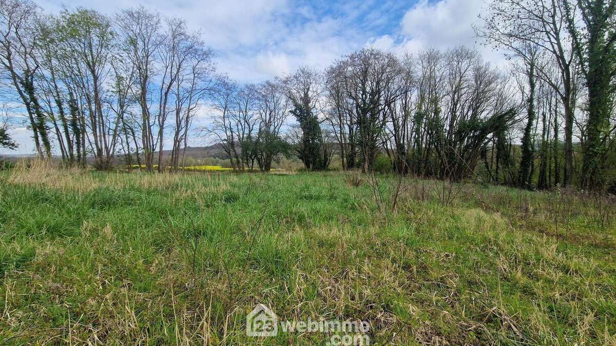 Terrain 2996 m² à Chamouille  - photo 3