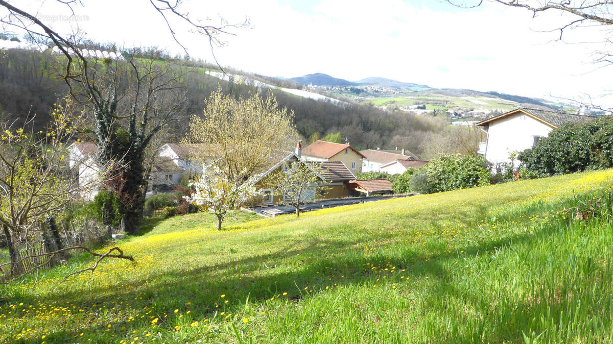 Terrain à THURINS