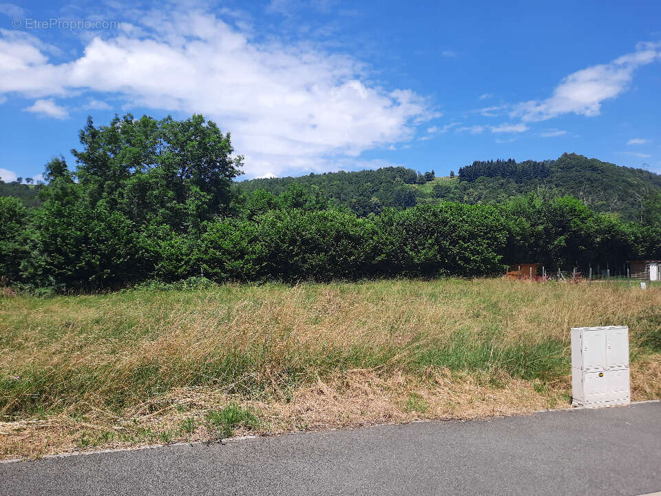 Terrain à SAINT-SIMON