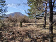 Terrain à CASTELLANE