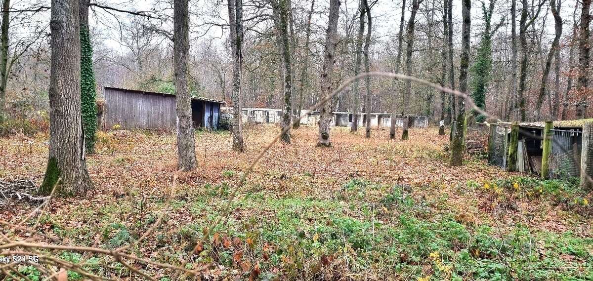 Maison à PERDREAUVILLE