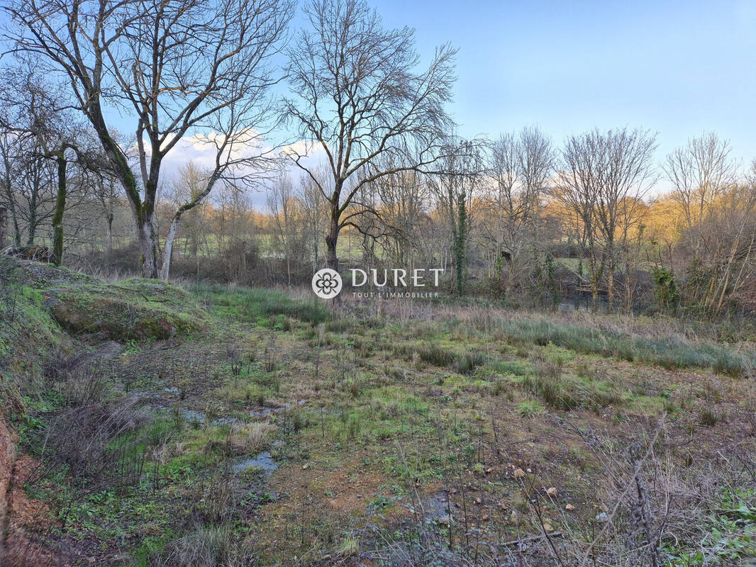 Terrain à LA ROCHE-SUR-YON