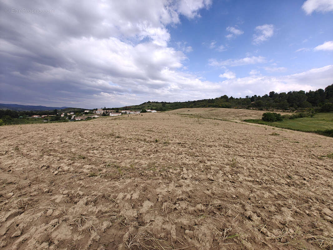 Limoux :terrain rare de 14 120m2 exposition plein sud - photo 2