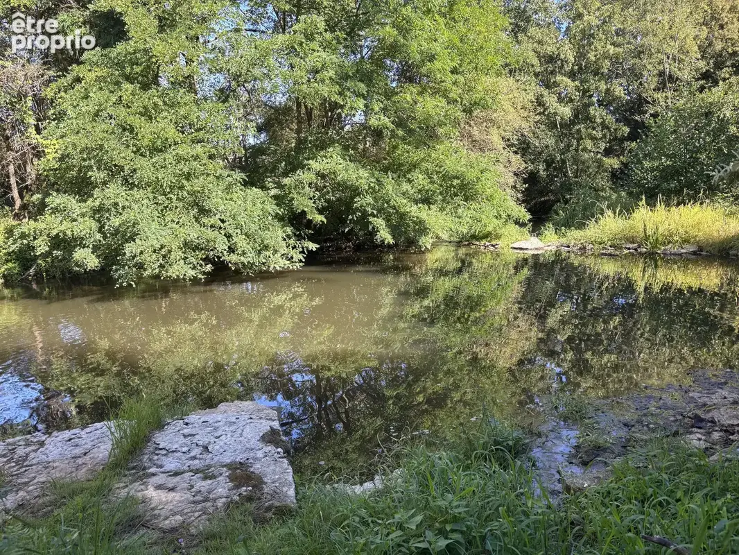 Le Veurdre - Ancien moulin à eau avec une maison spacieuse et un petit bout de rivière sur un terrain de 1,7 h - photo 35