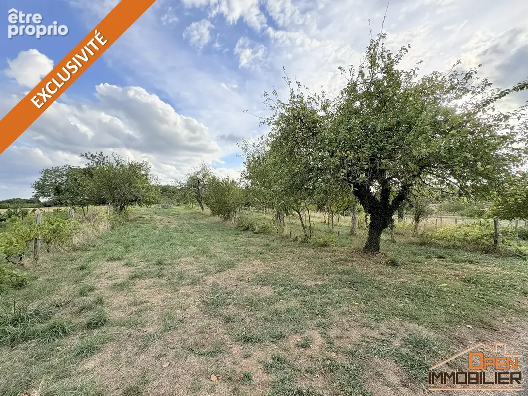 Terrain 4 028 m² à vendre à Jayac (24590) - photo 2
