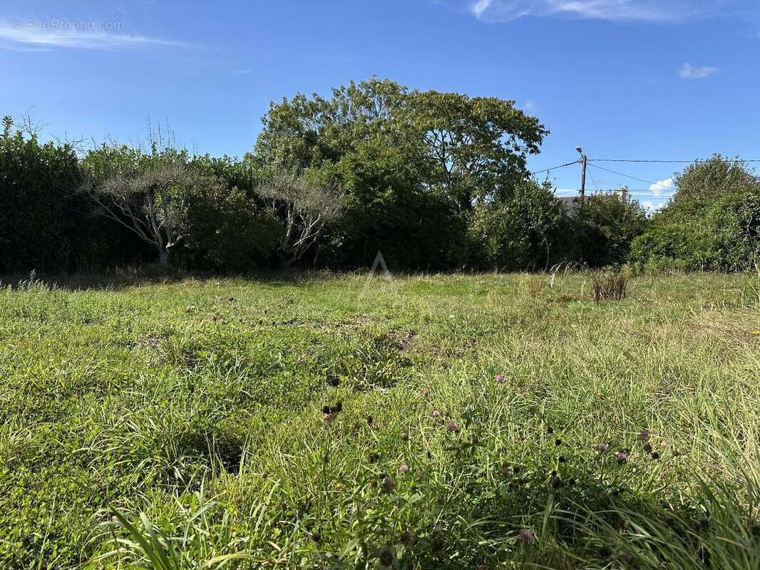 Terrain à LOCOAL-MENDON