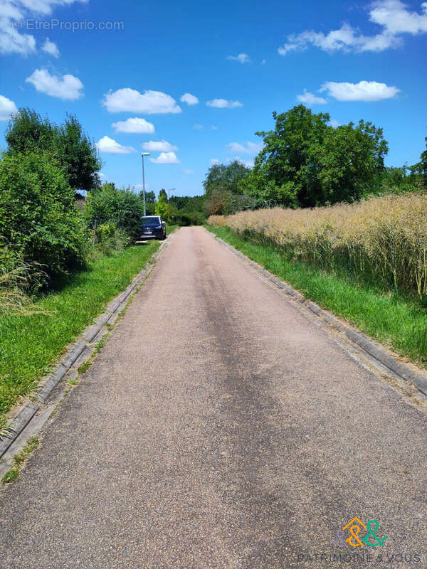 Terrain à SAINT-MAURICE-LE-VIEIL